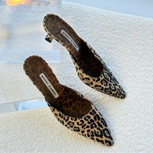Women's Manolo Blahnik Leopard Printed Pointed Toe Kitten Heels Size 36.5 6.5